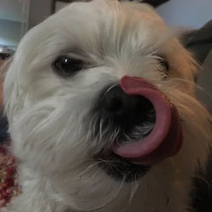 Meet your Posher, Genie